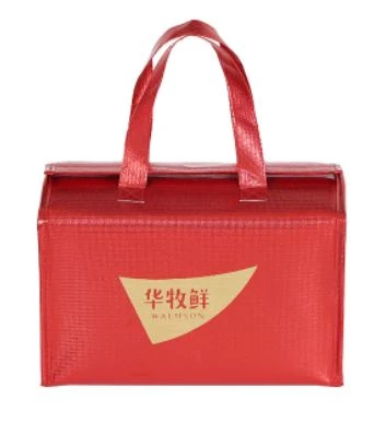 Aluminum Foil Preservation Picnic Takeaway Covered Cake Insulation Bag